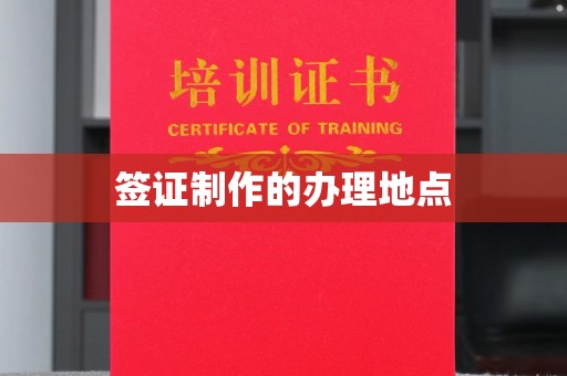 南投签证制作的办理地点