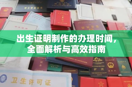 南投出生证明制作的办理时间，全面解析与高效指南