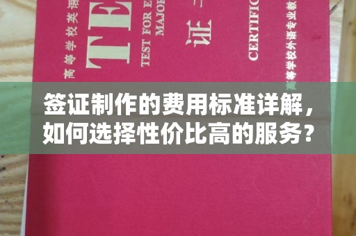 南投签证制作的费用标准详解，如何选择性价比高的服务？