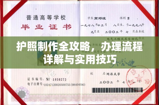 南投护照制作全攻略，办理流程详解与实用技巧